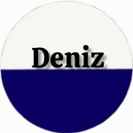 موتور برق دنیز