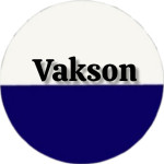 موتور برق واکسون