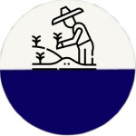 موتور برق کشاورزی