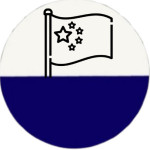 موتور برق چینی